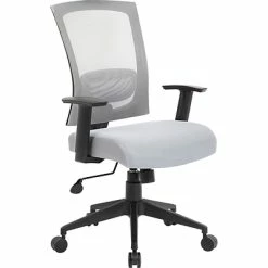 Best reviews of ✨ Task Chairs Boss Mesh Back Task Chair, Gray (B6706-GY) 💯