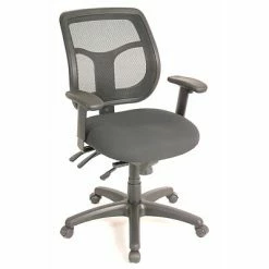 Cheapest 😍 Task Chairs Raynor Eurotech Seating Apollo Mesh Desk Chair, Black ⌛