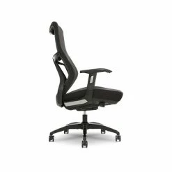 Buy 👏 Office Chairs Beautyrest Duo-EX Ergonomic Mesh Swivel Task Chair, Black/Gray (60051GRY) 🧨 -Office Chairs Online store unnamed file 2301