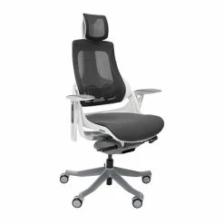 Budget 👍 Office Chairs Techni Mobili Lux Ergonomic Mesh Swivel Executive Chair, Gray/Black (RTA-1818C-GRY) ✔️
