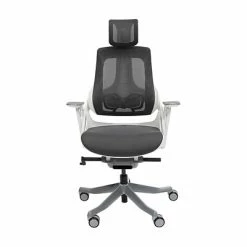 Budget 👍 Office Chairs Techni Mobili Lux Ergonomic Mesh Swivel Executive Chair, Gray/Black (RTA-1818C-GRY) ✔️ -Office Chairs Online store unnamed file 2353