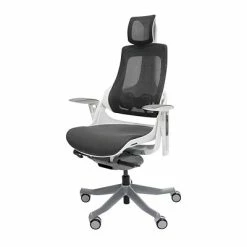 Budget 👍 Office Chairs Techni Mobili Lux Ergonomic Mesh Swivel Executive Chair, Gray/Black (RTA-1818C-GRY) ✔️ -Office Chairs Online store unnamed file 2359