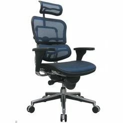 Hot Sale 🌟 Executive/Managerial Chairs Raynor Eurotech Ergo Human High Back Managers Chair, With Headrest And Mesh, Blue 😀
