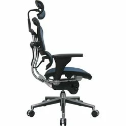 Hot Sale 🌟 Executive/Managerial Chairs Raynor Eurotech Ergo Human High Back Managers Chair, With Headrest And Mesh, Blue 😀 -Office Chairs Online store unnamed file 2613