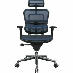 Hot Sale 🌟 Executive/Managerial Chairs Raynor Eurotech Ergo Human High Back Managers Chair, With Headrest And Mesh, Blue 😀 -Office Chairs Online store unnamed file 2614