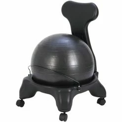 Brand new 🤩 Task Chairs CanDo® 20" Ball Plastic Chair With Back; Adult Size ⭐