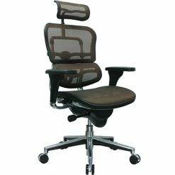 Best Pirce 🧨 Executive/Managerial Chairs Raynor Eurotech Ergo Human High Back Managers Chair, With Headrest And Mesh, Orange 🔥