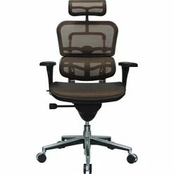 Best Pirce 🧨 Executive/Managerial Chairs Raynor Eurotech Ergo Human High Back Managers Chair, With Headrest And Mesh, Orange 🔥 -Office Chairs Online store unnamed file 2734
