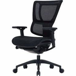 New 😍 Executive/Managerial Chairs Raynor Eurotech IOO Series Mid-Back Managers Chair, Mesh, Black With Black Frame ✔️ -Office Chairs Online store unnamed file 2868