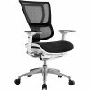 Budget 🤩 Executive/Managerial Chairs Raynor Eurotech IOO Series Mid-Back Managers Chair, Mesh, Black With White Frame ⭐ -Office Chairs Online store unnamed file 2944