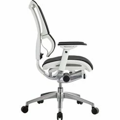 Budget 🤩 Executive/Managerial Chairs Raynor Eurotech IOO Series Mid-Back Managers Chair, Mesh, Black With White Frame ⭐ 12 Budget 🤩 Executive/Managerial Chairs Raynor Eurotech IOO Series Mid-Back Managers Chair, Mesh, Black With White Frame ⭐ -Office Chairs Online store unnamed file 2947