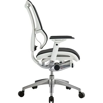 Budget 🤩 Executive/Managerial Chairs Raynor Eurotech IOO Series Mid-Back Managers Chair, Mesh, Black With White Frame ⭐ 6 Budget 🤩 Executive/Managerial Chairs Raynor Eurotech IOO Series Mid-Back Managers Chair, Mesh, Black With White Frame ⭐ - Image 4