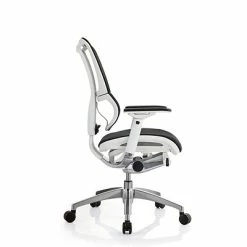 Budget 🤩 Executive/Managerial Chairs Raynor Eurotech IOO Series Mid-Back Managers Chair, Mesh, Black With White Frame ⭐ 15 Budget 🤩 Executive/Managerial Chairs Raynor Eurotech IOO Series Mid-Back Managers Chair, Mesh, Black With White Frame ⭐ -Office Chairs Online store unnamed file 2950
