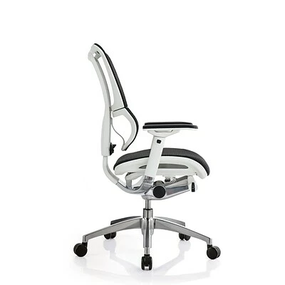 Budget 🤩 Executive/Managerial Chairs Raynor Eurotech IOO Series Mid-Back Managers Chair, Mesh, Black With White Frame ⭐ 9 Budget 🤩 Executive/Managerial Chairs Raynor Eurotech IOO Series Mid-Back Managers Chair, Mesh, Black With White Frame ⭐ - Image 7