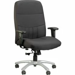 Promo 🎁 Executive/Managerial Chairs Raynor Eurotech Excelsior Fabric Big And Tall Manager's Chair, Black (BM90000-BLK) 😉