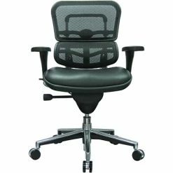 New 😉 Task Chairs Raynor Eurotech Mesh/Leather Mid Back Ergo Human Chair, Black 🔔 -Office Chairs Online store unnamed file 3005