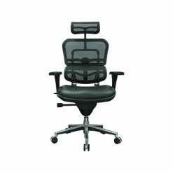 Best deal 👍 Task Chairs Eurotech Ergohuman Mesh Back Leather Task Chair, Black (LEM4ERG -LBK(N)) ✔️