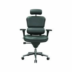 Hot Sale 😉 Task Chairs Eurotech Leather Task Chair, Black (LE9ERG(N)) ❤️