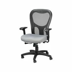 Top 10 ๐ Task Chairs Tempur-Pedic TP9000 Mesh Task Chair, Gray (TP9000-GREY) ๐ 10 Top 10 ๐ Task Chairs Tempur-Pedic TP9000 Mesh Task Chair, Gray (TP9000-GREY) ๐ -Office Chairs Online store unnamed file 3464