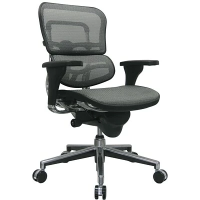 Cheap ๐ Task Chairs Raynor Eurotech Ergo Human Mesh Mid Back Task Chair, Gray ๐ 3 Cheap ๐ Task Chairs Raynor Eurotech Ergo Human Mesh Mid Back Task Chair, Gray ๐