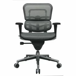 Cheap ๐ Task Chairs Raynor Eurotech Ergo Human Mesh Mid Back Task Chair, Gray ๐ 9 Cheap ๐ Task Chairs Raynor Eurotech Ergo Human Mesh Mid Back Task Chair, Gray ๐ -Office Chairs Online store unnamed file 3769
