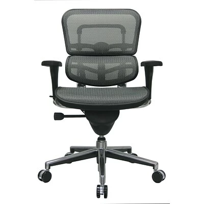 Cheap ๐ Task Chairs Raynor Eurotech Ergo Human Mesh Mid Back Task Chair, Gray ๐ 6 Cheap ๐ Task Chairs Raynor Eurotech Ergo Human Mesh Mid Back Task Chair, Gray ๐ - Image 4