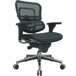 Cheap 🛒 Task Chairs Raynor Eurotech Ergo Human Mesh Mid Back Task Chair, Green 👏