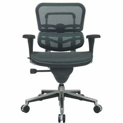 Cheap 🛒 Task Chairs Raynor Eurotech Ergo Human Mesh Mid Back Task Chair, Green 👏 -Office Chairs Online store unnamed file 3845