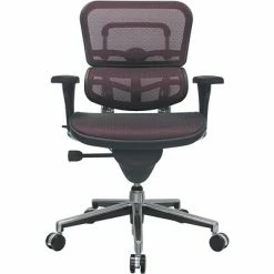 Outlet 🎁 Task Chairs Raynor Eurotech Ergo Human Mesh Mid Back Task Chair, Plum Red ✨ -Office Chairs Online store unnamed file 3910