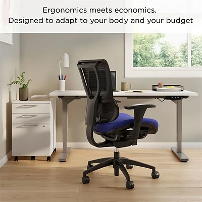 Cheapest ✔️ Union & Scale Task Chairs Union & Scale FlexFit™ 1500TF Mesh Back Fabric Task Chair, Blue/Black (UN59413) 😍 7 Cheapest ✔️ Union & Scale Task Chairs Union & Scale FlexFit™ 1500TF Mesh Back Fabric Task Chair, Blue/Black (UN59413) 😍 - Image 5