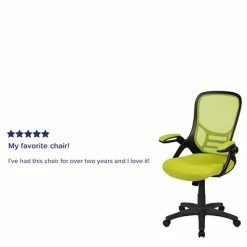 Buy 🧨 Office Chairs Flash Furniture Ergonomic Mesh Swivel High Back Office Chair, Green (HL00161BKGN) 🧨 -Office Chairs Online store unnamed file 483