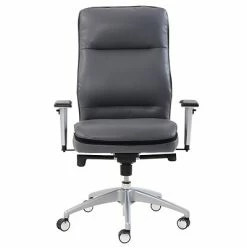 Best reviews of 🛒 Task Chairs Beautyrest Platinum Abott Mid-Back Task Chair, Gray (49608G) ✨ -Office Chairs Online store unnamed file 5037