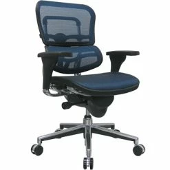 Cheapest ❤️ Task Chairs Raynor Eurotech Ergo Human Mesh Mid Back Task Chair, Blue 😉
