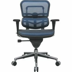 Cheapest ❤️ Task Chairs Raynor Eurotech Ergo Human Mesh Mid Back Task Chair, Blue 😉 -Office Chairs Online store unnamed file 5045