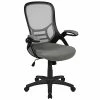 Discount ⭐ Office Chairs Flash Furniture Ergonomic Mesh Swivel High Back Office Chair, Light Gray (HL00161BKGY) 😍